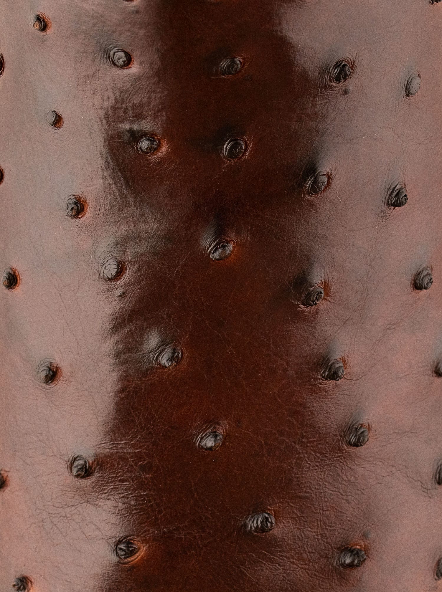 Rodeo Boot with Leather Sole in Imitation Leather Dragon Cognac Style 1555 (copia) (copia) (copia) (copia) (copia) (copia)