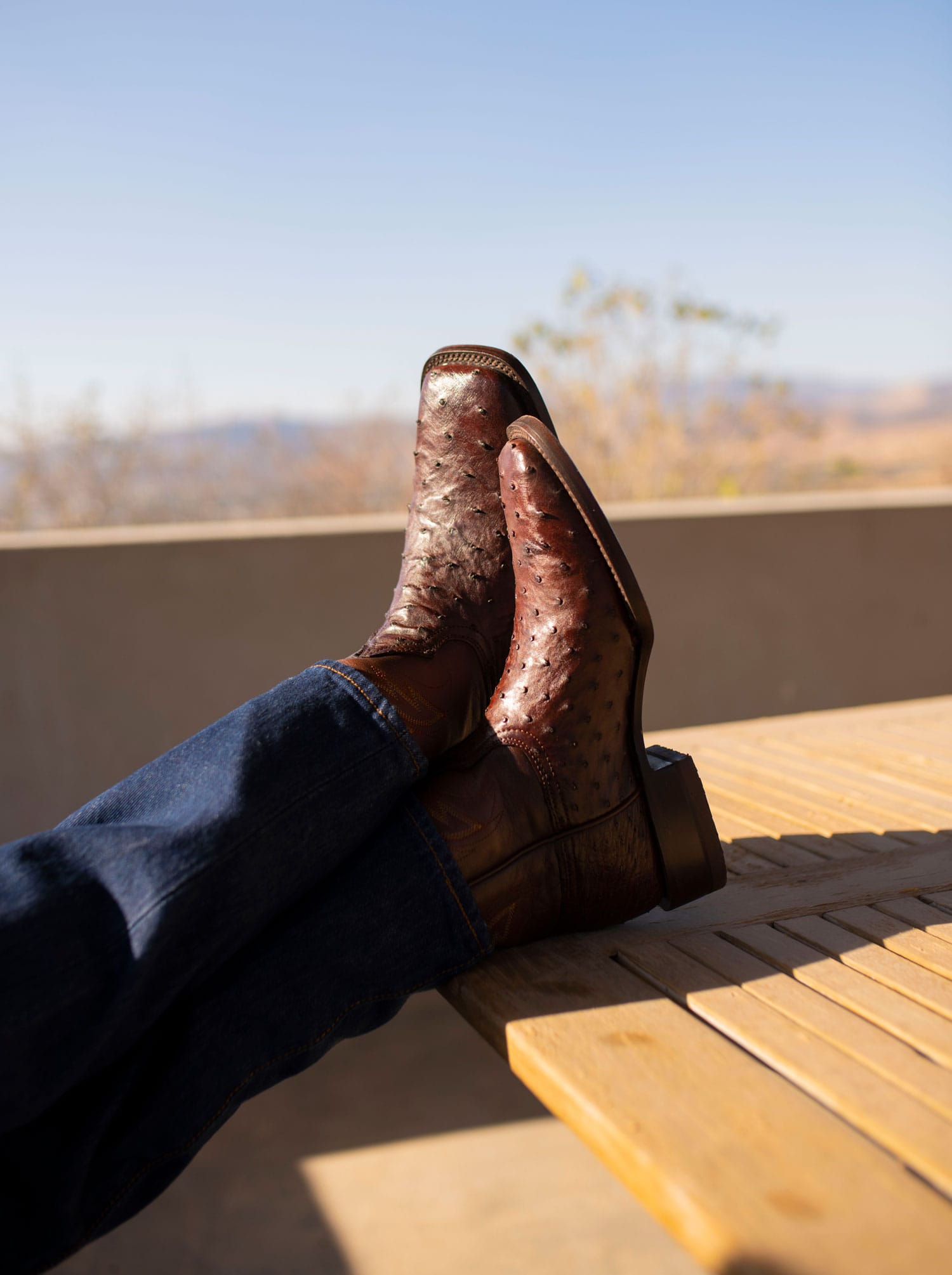 Rodeo Boot with Leather Sole in Imitation Leather Dragon Cognac Style 1555 (copia)