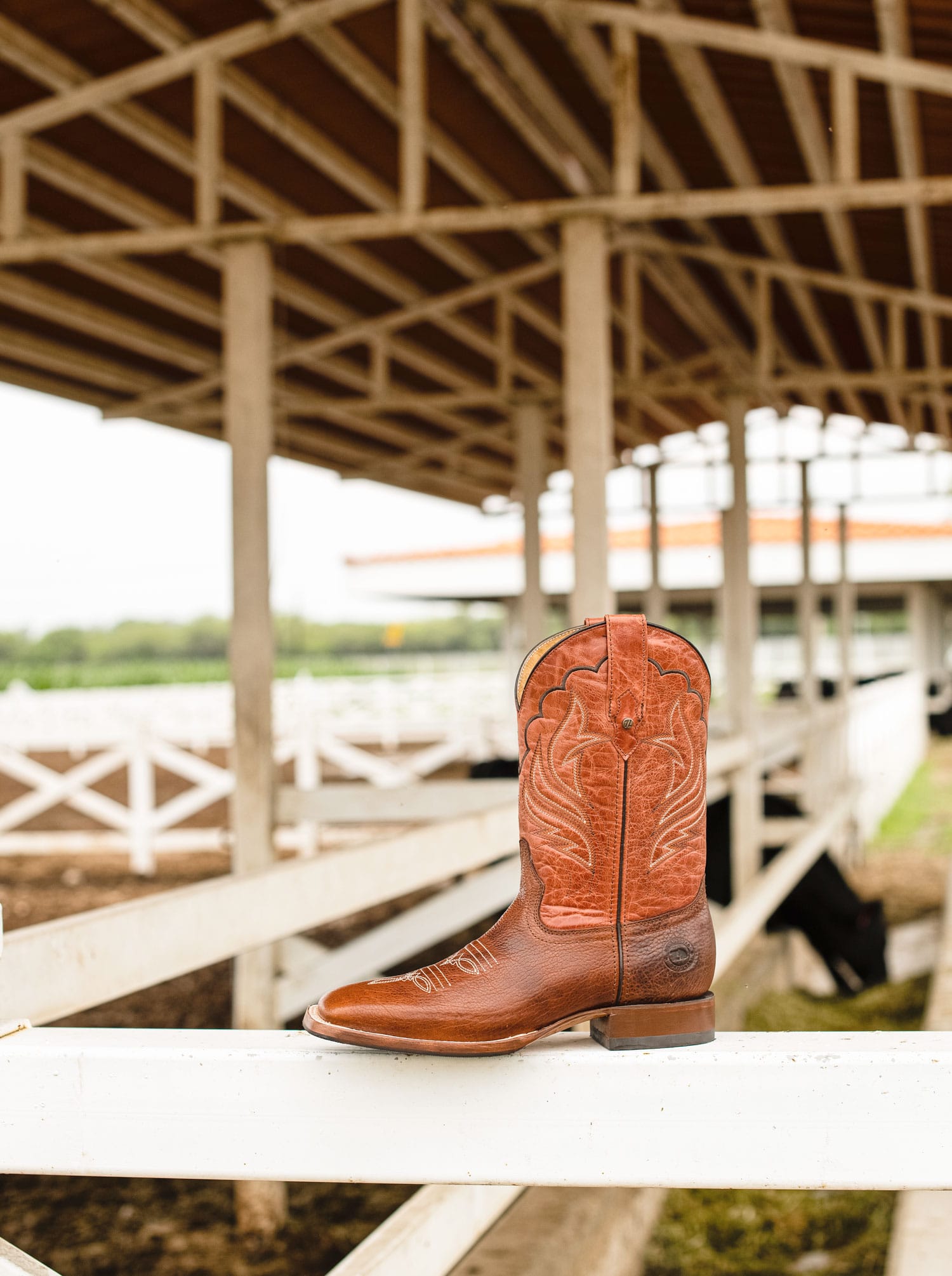 Men's American Bison Rodeo Boot with Hybrid Sole Whiskey Color Style 1553